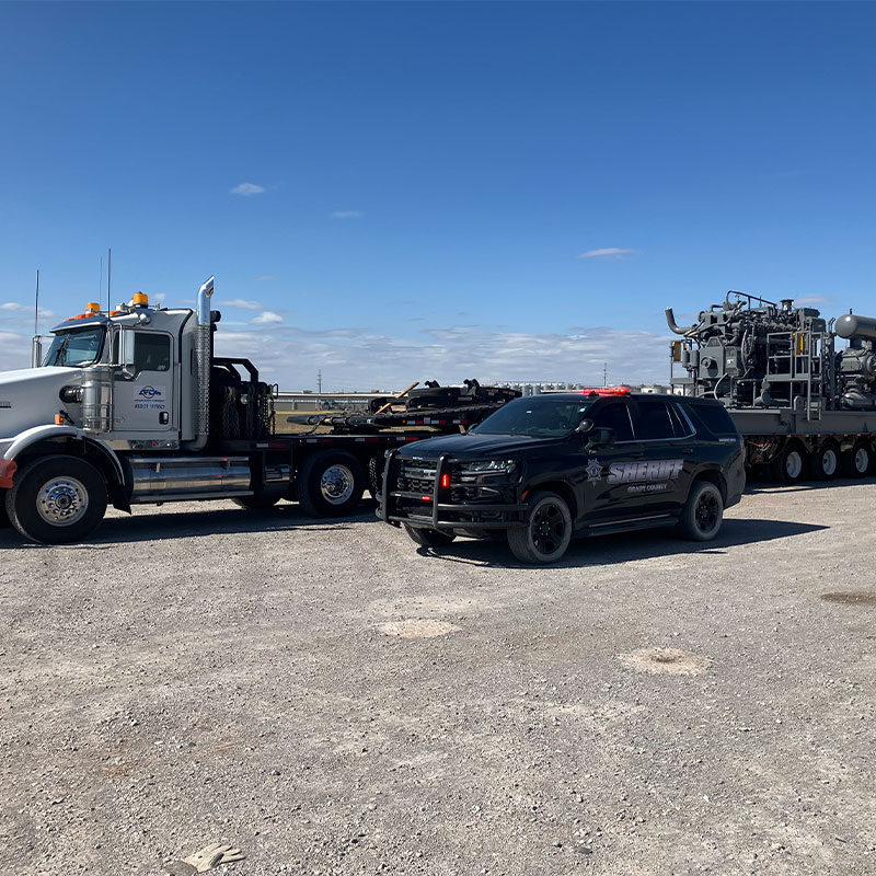 size and weights division